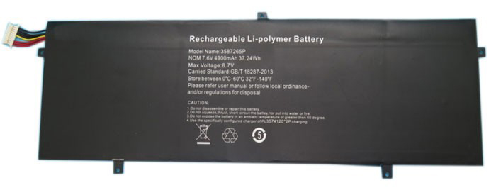 Erstatte Bærbar Batteri Peaq  til P313R 